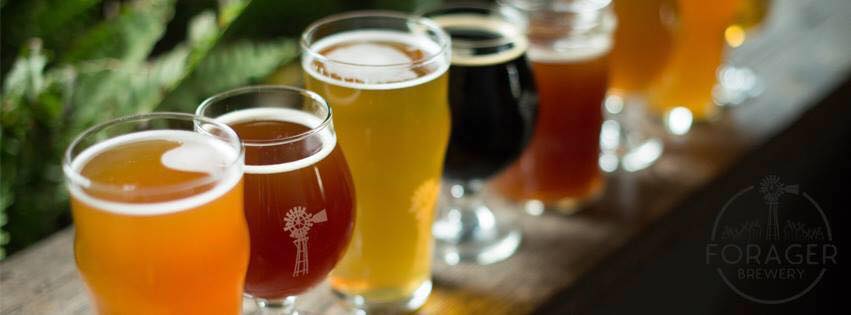 Joseph Hunt at Forager Brewing Company